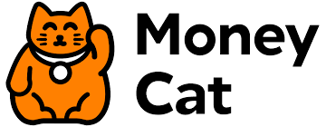 tổng đài kiểm tra nợ xấu Money Cat