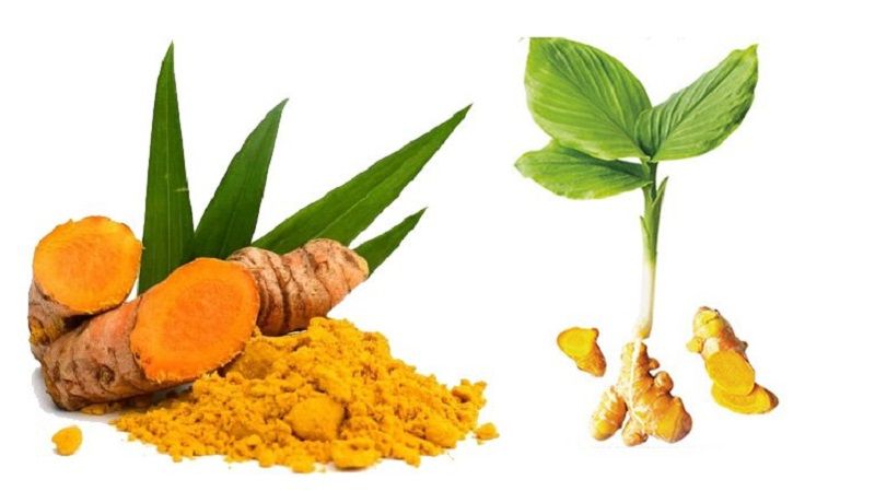 sử dụng nghệ để điều trị mụn nhọt