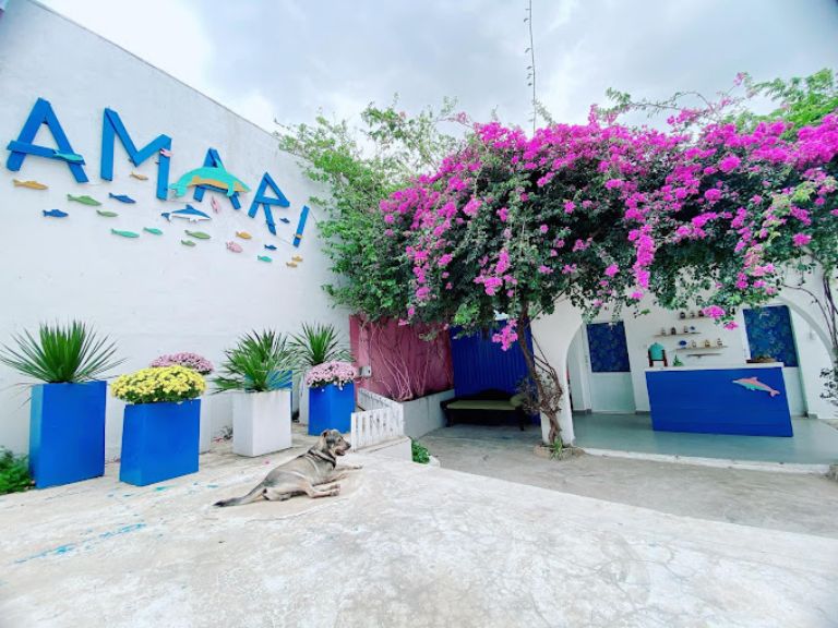 Homestay AMARI ở Đảo Bình Hưng