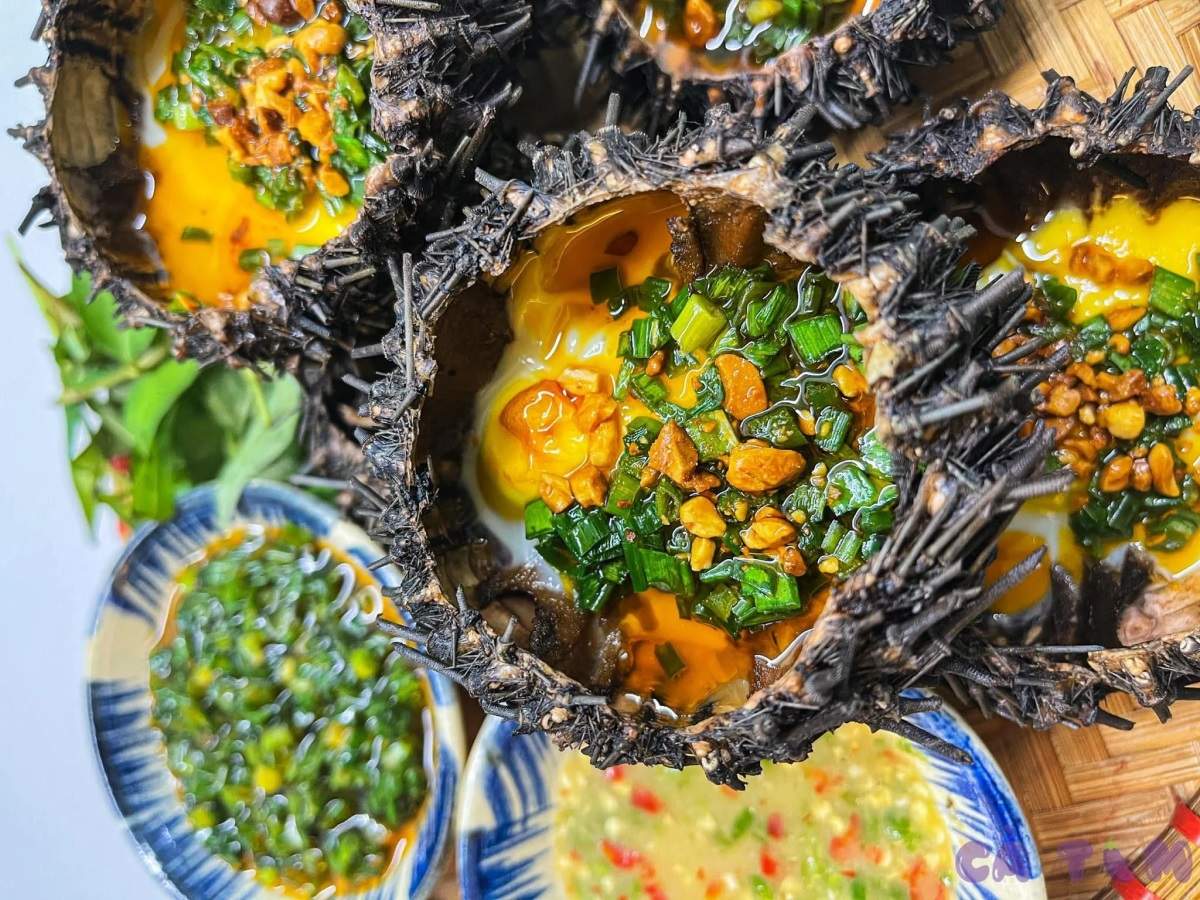 Nhum biển ở Đảo Bình Hưng