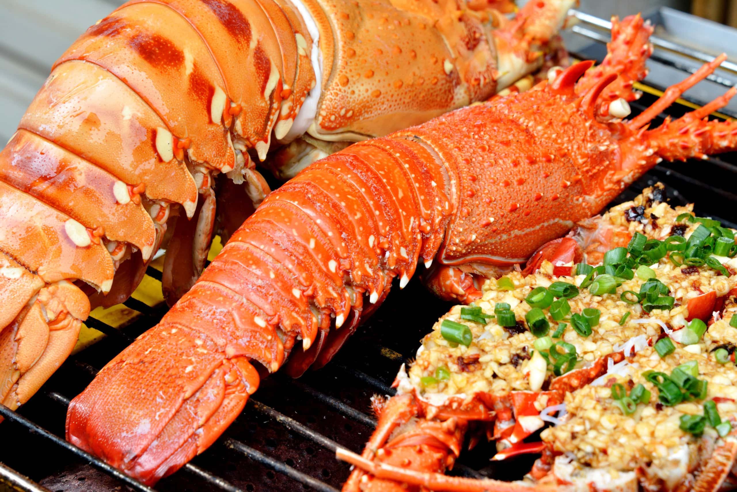 Tôm hùm ở Đảo Bình Hưng