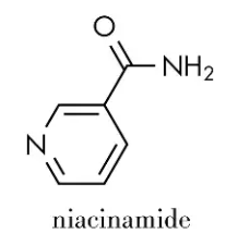 Thành phần niacinamide trong serum chống nắng Vaseline