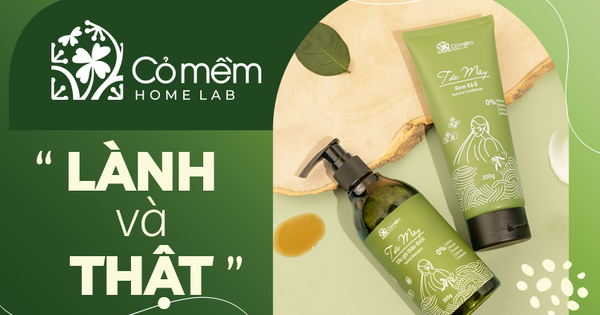 Giới thiệu về thương hiệu Cỏ Mềm